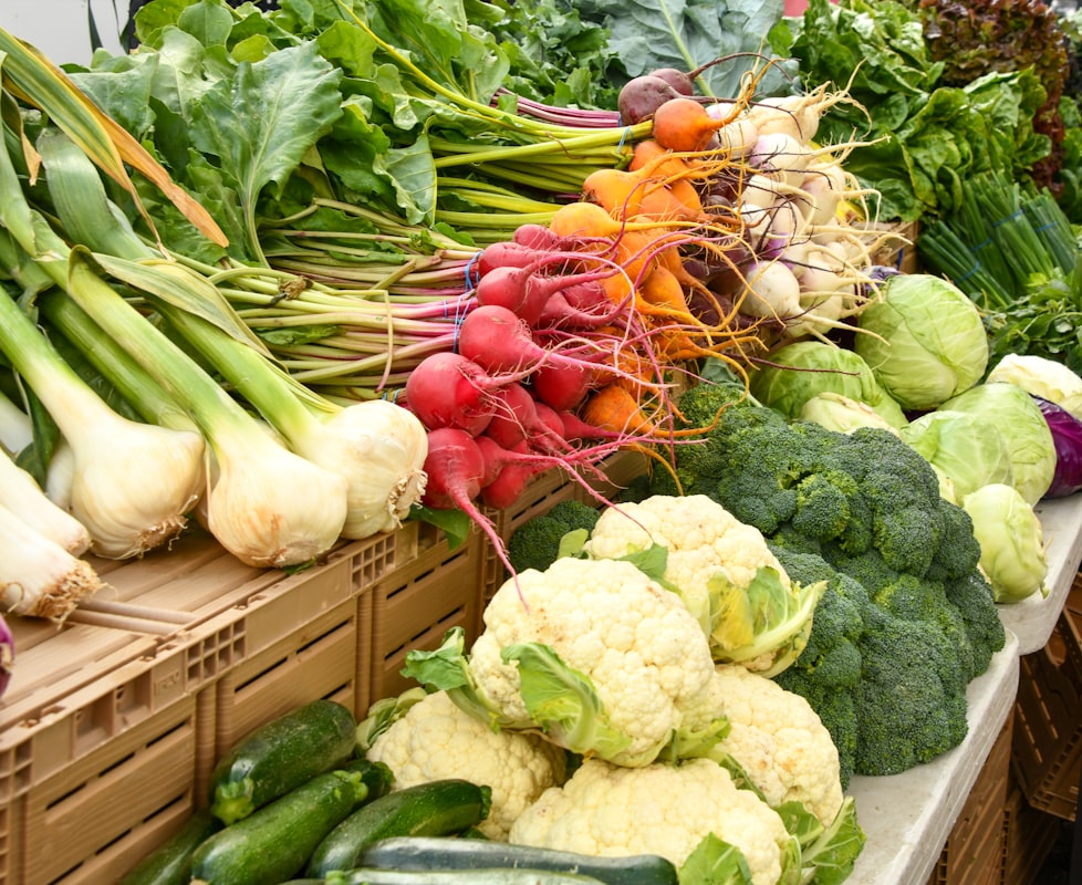 Mediterranean soups and broths